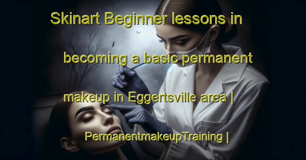 Skinart Beginner lessons in becoming a basic permanent makeup in Eggertsville area | PermanentmakeupTraining | PermanentmakeupClasses | SkinartTraining-United States